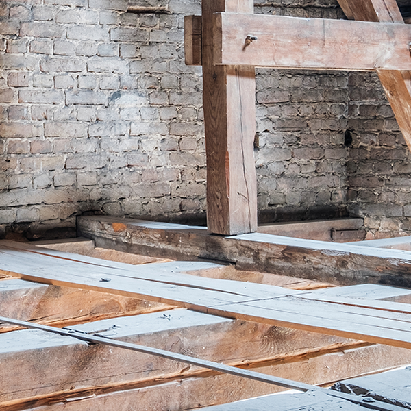 Dry Rot and Wet Rot A picture of Dry Rot