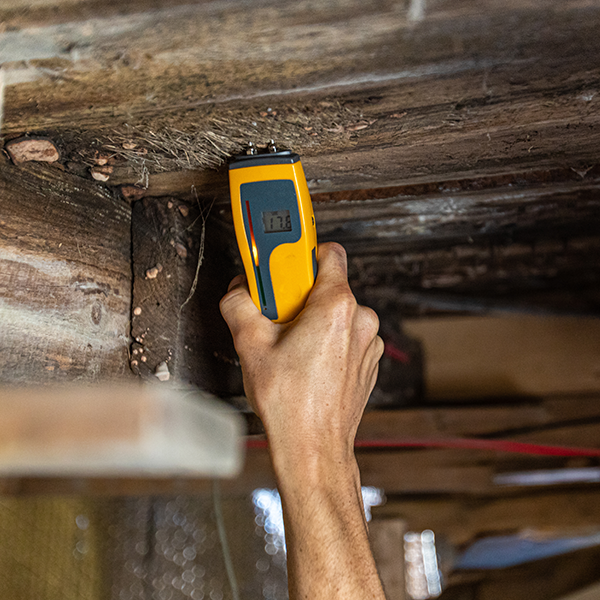 structural Indoor damp & air quality (IAQ) testing. An environmental home inspector is viewed close-up at work, using an electronic moisture meter to detect signs of damp and rot in wooden structural elements